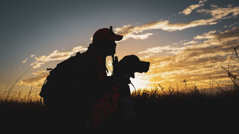 Silhouette of a hunter and dog during a sunset in a field, Florida.