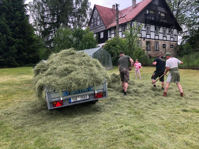 Sušení sena pro zvěř — Myslivecký spolek Jiskra Rumburk