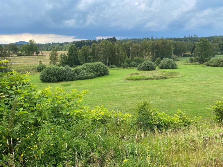 Letní louky honitby — Myslivecký spolek Jiskra Rumburk